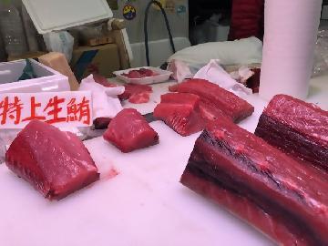 写真：美味しそうな特上生鮪