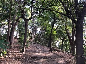 写真：断夫山古墳での景色1