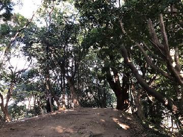 写真：断夫山古墳での景色2