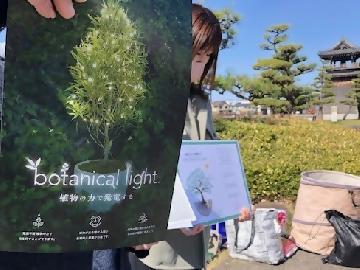 写真：「ボタニカルライト」の説明をする熱田湊まちづくり協議会の担当者
