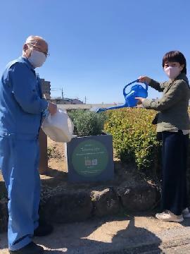 写真：植物に水をあげる区長（写真右側）