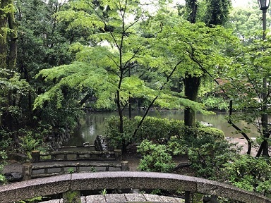写真：橋から見える景色