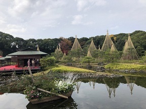 写真：白鳥庭園の「雪吊り」