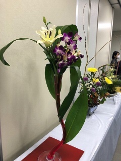 写真：赤い水を吸い上げた白いユリの作品