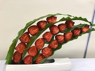 写真：ホオズキをオブジェ的に並べた作品