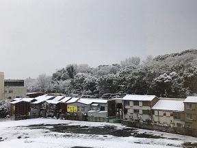 写真：雪の日に区長室から撮影した熱田神宮の森