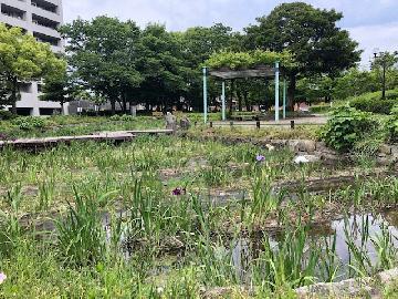 神宮東公園の写真