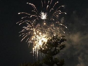 写真：花火(垂れ)