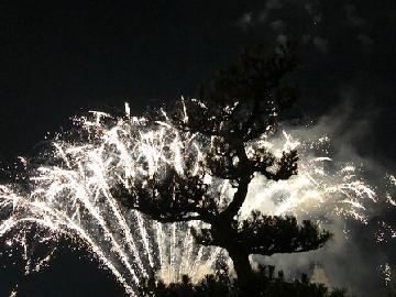 写真：花火(白)