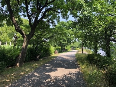 堀川周辺の写真