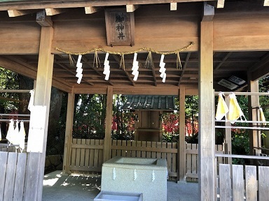 写真：神社の井戸