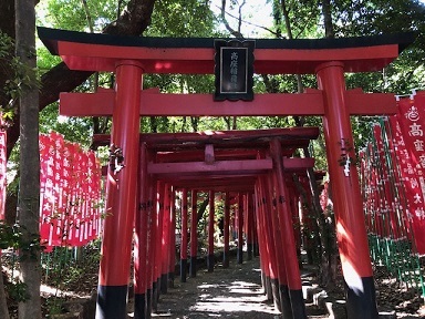 写真：連なる朱塗りの鳥居