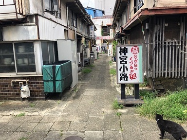神宮小路と黒猫の写真