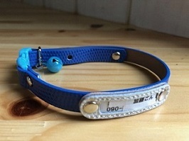 写真：ごんくんの首輪