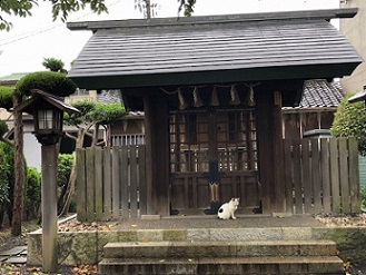 写真：鈴之御前社の前で座る猫