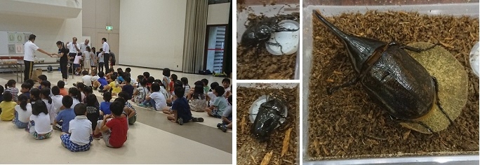 写真：屋内で昆虫の時間　ヘラクレスオオカブトも登場