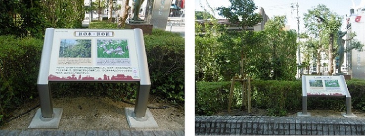 写真：「区の木・区の花」銘板　植樹したクロガネモチと銘板
