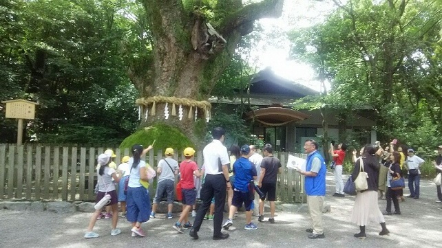 写真：クスノキにいた蛇をみんなで撮影