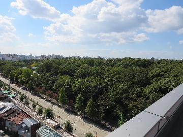 区役所から見た熱田神宮の森の写真