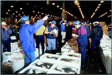 写真：名古屋市中央卸売市場