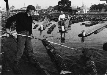 写真：白鳥貯木場の筏師たち（中部森林管理局）