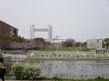 写真：白鳥公園（白鳥御材木場・御船蔵跡）（太夫堀）