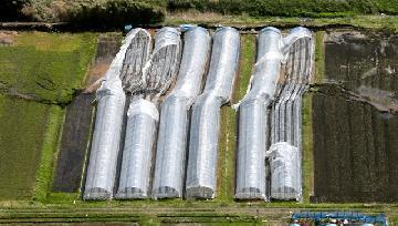 写真：熊本地震益城町（断層）