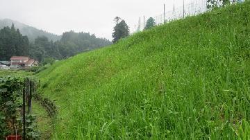 写真：濃尾地震根尾谷断層