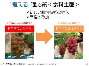 写真：地球温暖化に「備える」適応策（食料生産）