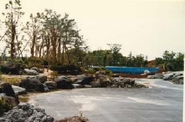 写真：池と木橋の工事（昭和62年・1987頃）