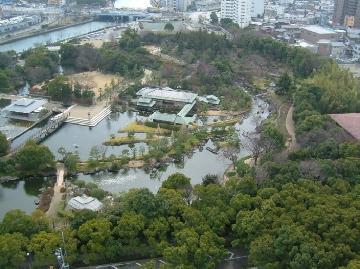 写真：現在の白鳥庭園（全景　北からの眺望）