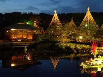 写真：ライトアップ（雪吊り）