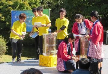 写真：はちみつ対決