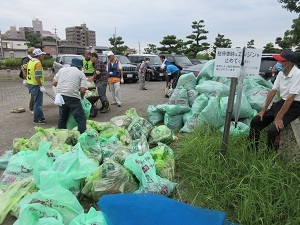 写真:集められたゴミ
