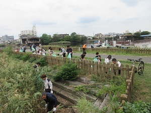 写真:清掃の様子1