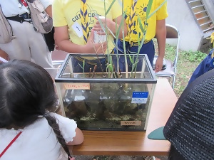 写真:環境学習の様子2