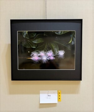 写真:写真の部 市長賞作品
