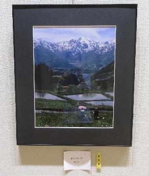 写真:写真の部 市長賞作品