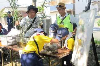 写真:堀川に住む生き物観察の様子