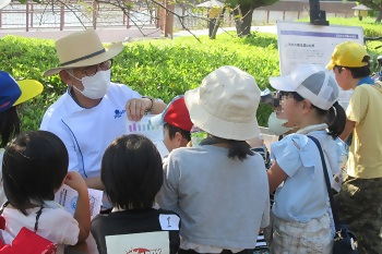 写真:水質実験の様子