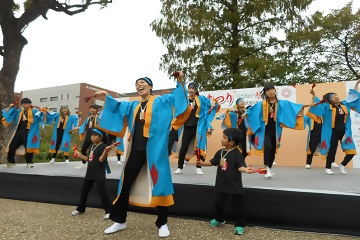 写真:よさこい