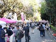 写真:古墳マルシェの様子1