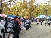 写真:ひびの秋まつりの様子1