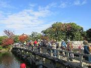 写真:白鳥庭園の様子1