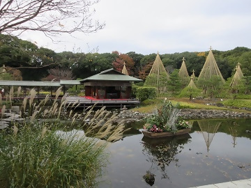 写真：白鳥庭園の風景の様子