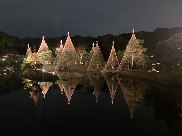 写真：白鳥庭園ライトアップの様子