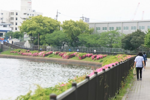 写真：令和6年度なごやかウォーク熱田の様子