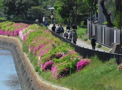 写真：令和7年度なごやかウォーク熱田の様子