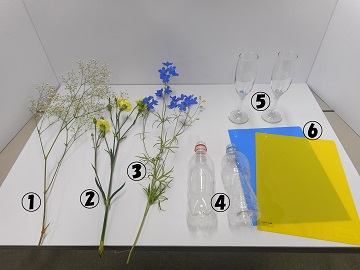 準備材料の写真