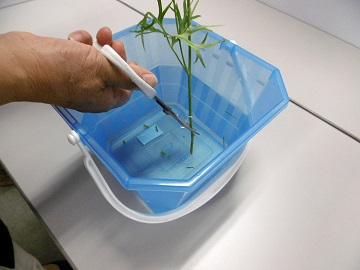 水切りをしている写真